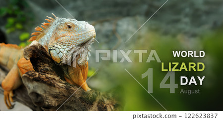 World lizard day World lizard day 122623837
