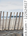 Seaside Serenity: Wooden Fence on the Beach 122624027