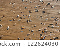 Maritime Mosaic: Shells on the Shore 122624030