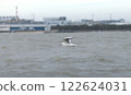 Graceful Flight: Seagull Over Choppy Waters 122624031