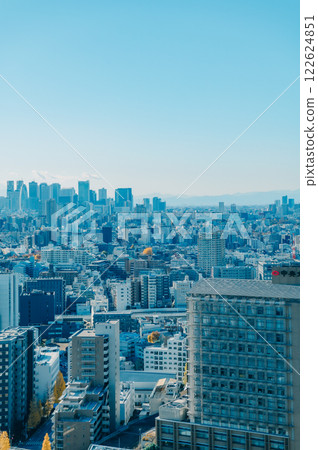 Winter cityscape of Tokyo 122624851