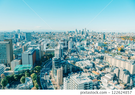 Winter cityscape of Tokyo 122624857