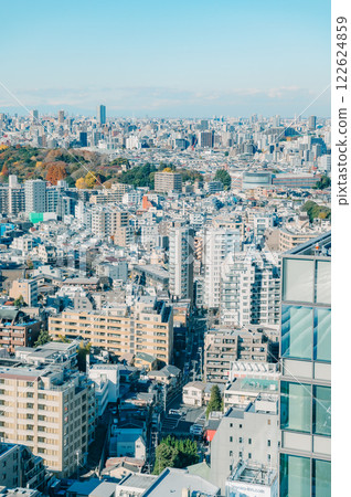 東京冬季城市景觀 122624859