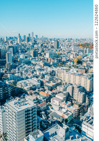 Winter cityscape of Tokyo 122624860