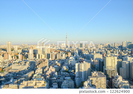 Tokyo cityscape at dusk in winter 122624900