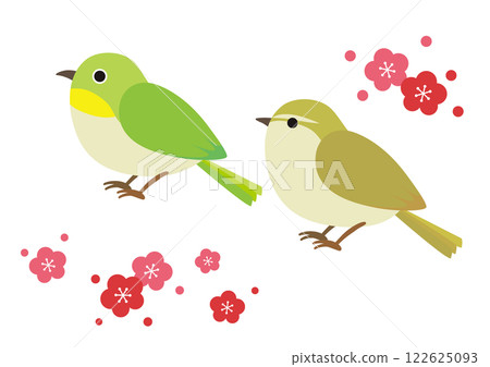 繡眼鳥、鶯和梅花的插圖 繡眼鳥、鶯和梅花的插圖 122625093