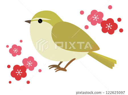 Illustration of plum blossoms and nightingales Illustration of plum blossoms and nightingales 122625097