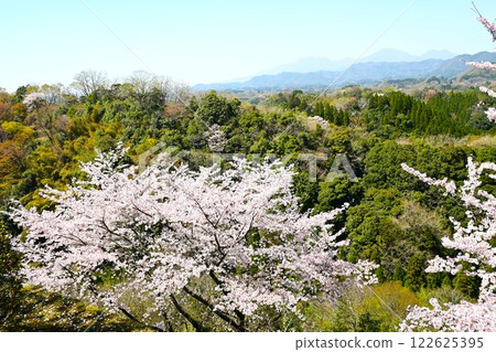 Kuju mountain range and cherry blossoms in full bloom Kuju mountain range and cherry blossoms in full bloom 122625395