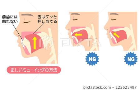 如何正確喵喵叫:正確且不正確的舌頭位置 如何正確喵喵叫:正確且不正確的舌頭位置 122625497
