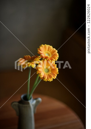 花瓶裡的橙色非洲菊 花瓶裡的橙色非洲菊 122626024