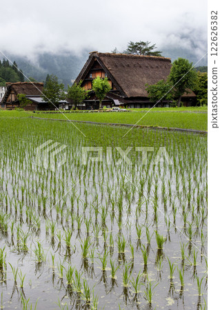 Shirakawago Shirakawago 122626382