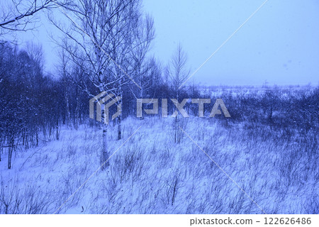 Senjogahara in winter 122626486