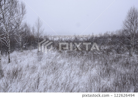 Senjogahara in winter 122626494