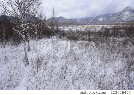 Senjogahara in winter Senjogahara in winter 122626495