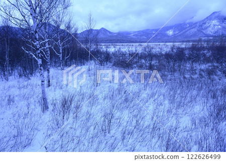 Senjogahara in winter 122626499