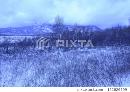 Senjogahara in winter Senjogahara in winter 122626509