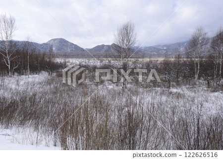 Senjogahara in winter Senjogahara in winter 122626516