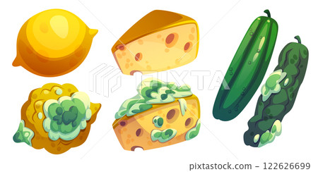 Rotten food set isolated on white background Rotten food set isolated on white background 122626699
