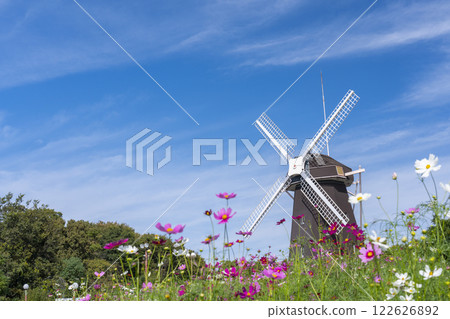 Tsurumi Ryokuchi Park: Windmills and cosmos 122626892