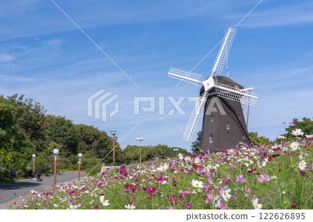 鶴見綠地公園：風車和大波斯菊 122626895