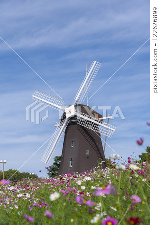 Tsurumi Ryokuchi Park: Windmills and cosmos 122626899