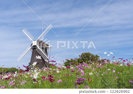 Tsurumi Ryokuchi Park: Windmills and cosmos Tsurumi Ryokuchi Park: Windmills and cosmos 122626902