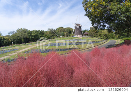 Tsurumi Ryokuchi Park: Windmills and Kochia Tsurumi Ryokuchi Park: Windmills and Kochia 122626904