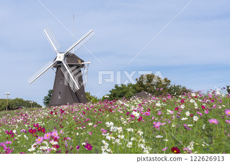 Tsurumi Ryokuchi Park: Windmills and cosmos 122626913