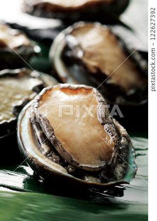 Abalone Abalone 122627392