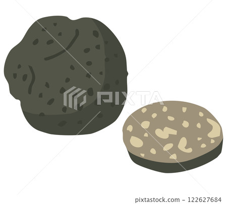 黑松露插圖 122627684