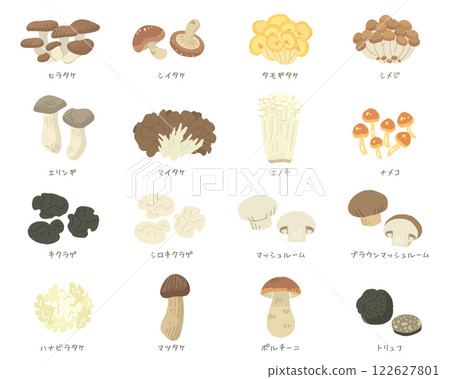 Illustrations of 16 types of mushrooms (vector available) 122627801