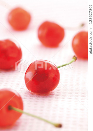 Nishiki Sato 122627802