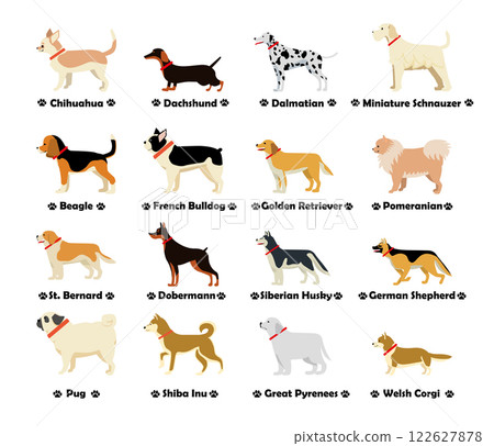 16 種狗的簡單插圖集平面設計，狗向側面看 122627878