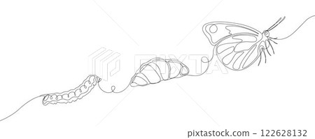 Continuous line drawing of butterfly life cycle. Transformation of caterpillar from cocoon into butterfly. Minimalist black linear sketch isolated on white background. Continuous line drawing of butterfly life cycle. Transformation of caterpillar from cocoon into butterfly. Minimalist black linear sketch isolated on white background. 122628132