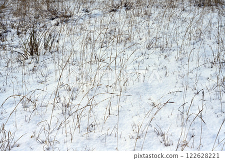 Withered silver grass in winter scenery 122628221