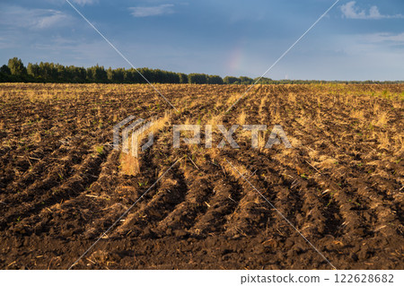 Plowed field after harvesting grain 122628682
