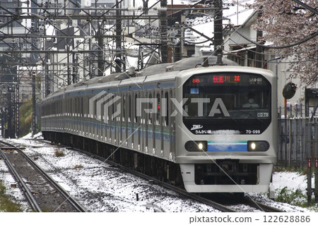 積雪遮住了櫻花和臨海線70-000系列列車（直達埼京線） 122628886