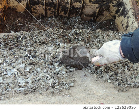 scraping bird droppings from the surface of an iron tray into a collection and storage box, cleaning excrement from a metal tray in a cage with small poultry scraping bird droppings from the surface of an iron tray into a collection and storage box, cleaning excrement from a metal tray in a cage with small poultry 122629050