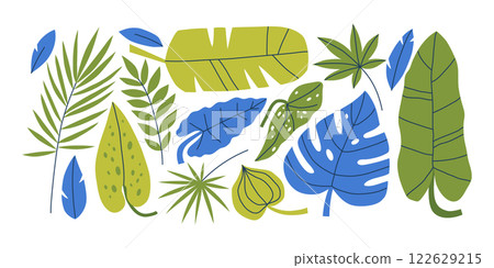 Collection of various green tropical leaves 122629215