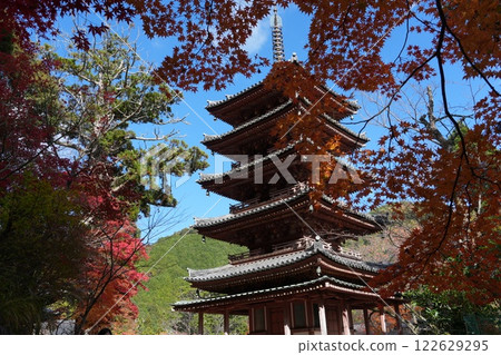 晴朗的天空和海壽山寺的國寶五重塔 122629295