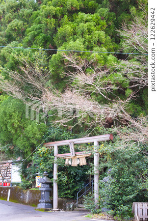 Arakita神道Torii Torii Arakita神道Torii Torii 122629442