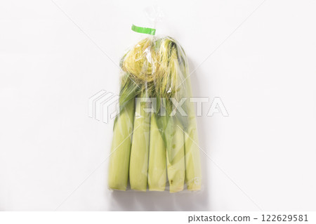 [沖繩縣] 玉米苗 122629581