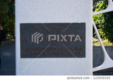 Miyazaki prefecture Qingdao subtropical botanical garden Miyazaki prefecture Qingdao subtropical botanical garden 122630102