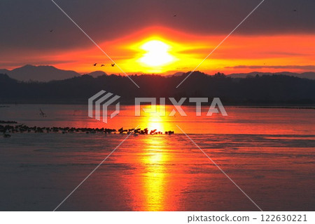 冰凍沼澤 冰凍沼澤 122630221