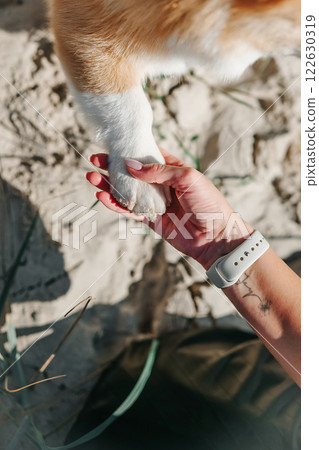 Dog is giving paw to the woman. Dog's paw in human's hand. Dog is giving paw to the woman. Dog's paw in human's hand. 122630319
