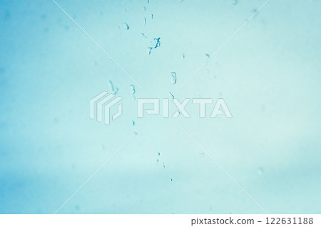 Rainy window view 122631188