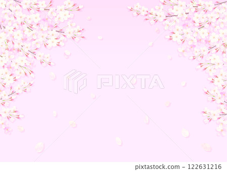 櫻花花瓣的背景插圖 櫻花花瓣的背景插圖 122631216
