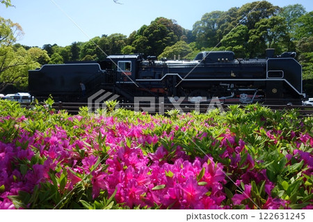 steam locomotive steam locomotive 122631245