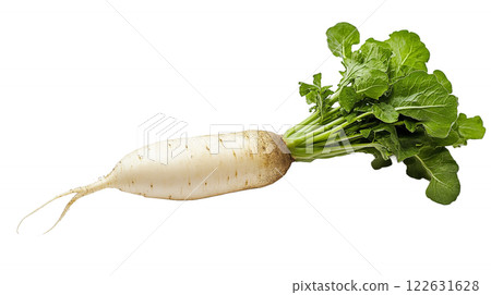 Fresh radish with leaves Fresh radish with leaves 122631628