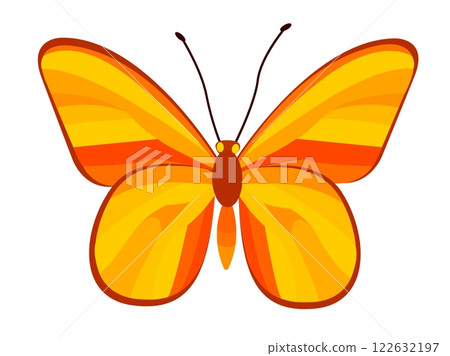 Bright yellow and orange butterfly vector illustration representing spring and summer beauty in nature 122632197